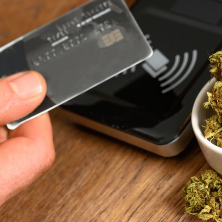 How to get a Massachusetts Cultivation License