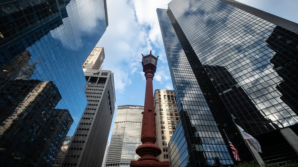 New York’s First Legal Cannabis Shops Builders